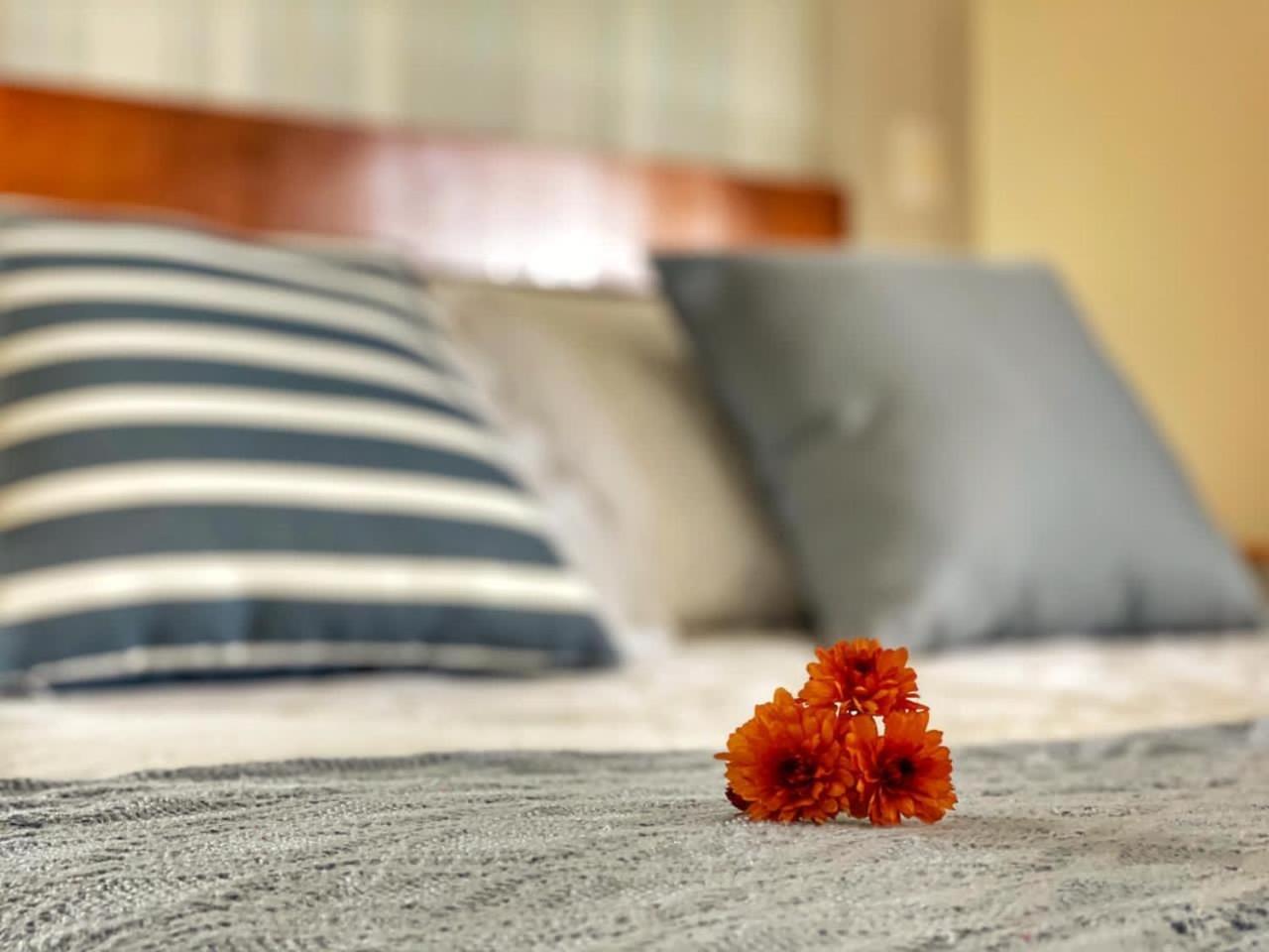 Pousada Flor De 카넬라 외부 사진